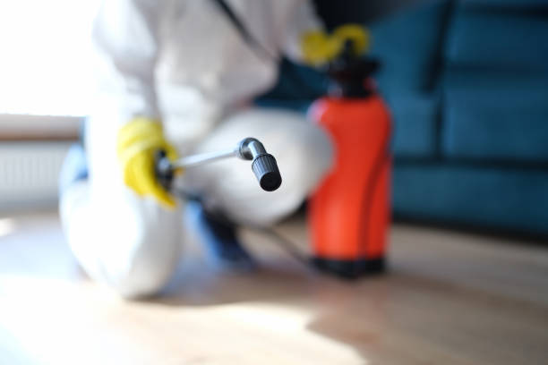 Best Mold Odor Removal Services  in Flatonia, TX